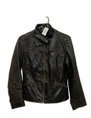 NJ-9069 ( Brand: CAROLL )