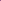 SS-9547( Brand: AMICI )